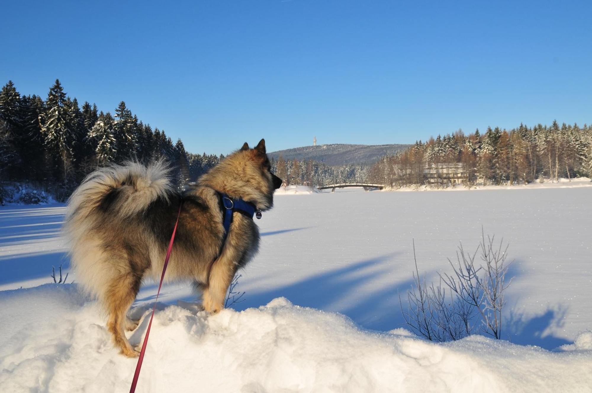 Fichtelsonne Fichtelberg